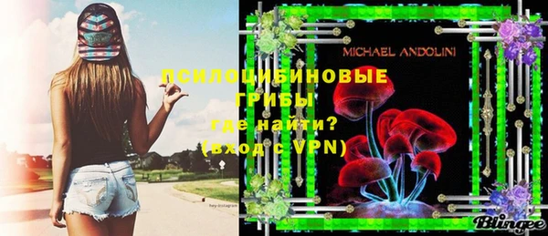 эйфоретик Алексин