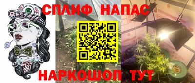 МДПВ Гусев