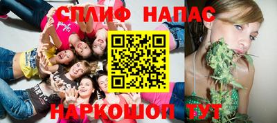 МДПВ Гусев