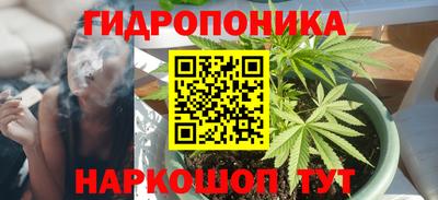 spice Гусиноозёрск