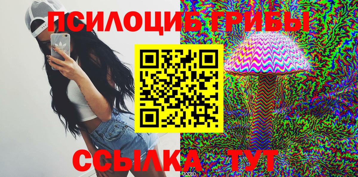 Псилоцибиновые грибы Psilocybine cubensis  Вход с VPN  Глазов 